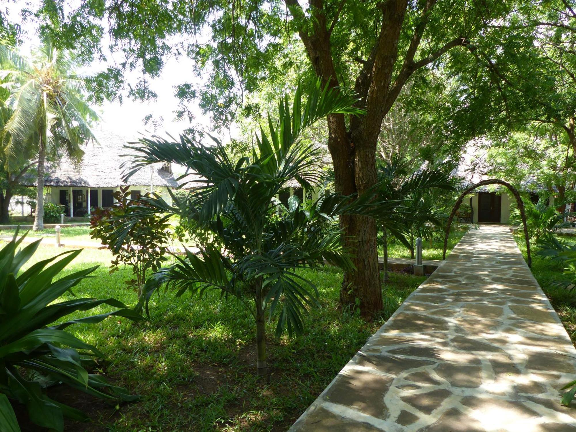 Residence Maison Müge Kilifi Habitación foto